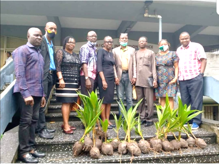 Lascoda and UNILAG collaborate on coconut planting initiative