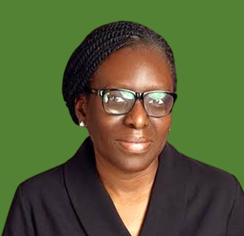 Professor Bola Oboh