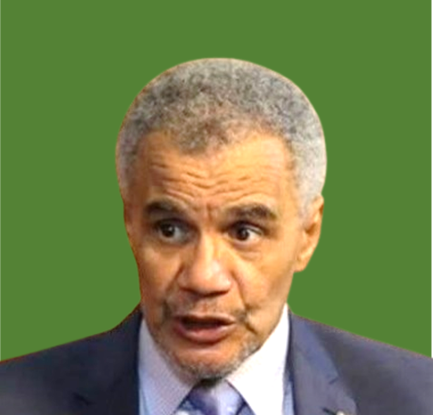 Mr. Desmond Olumuyiwa Majekodunmi